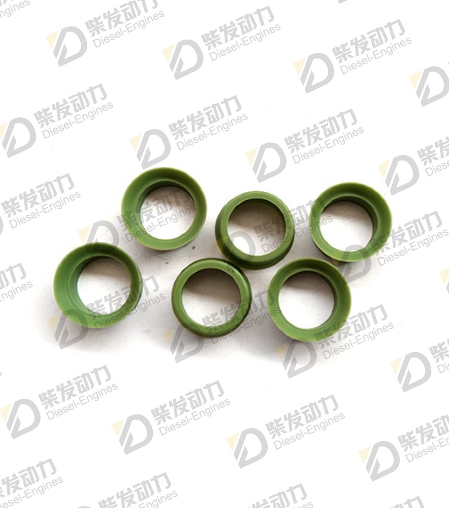 Sealing ring 469455 